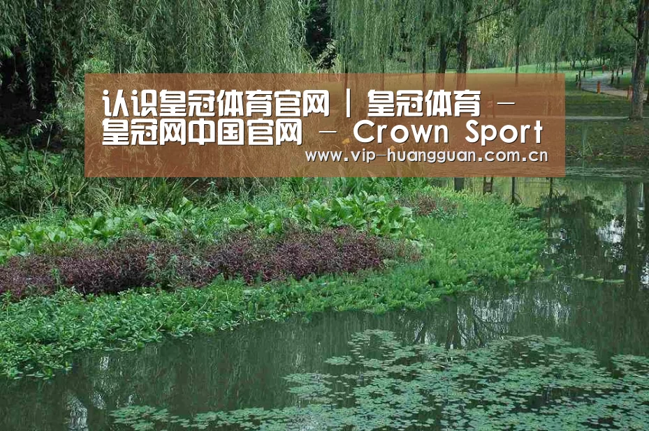 案例展示一(图1)
