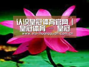 产品名称五