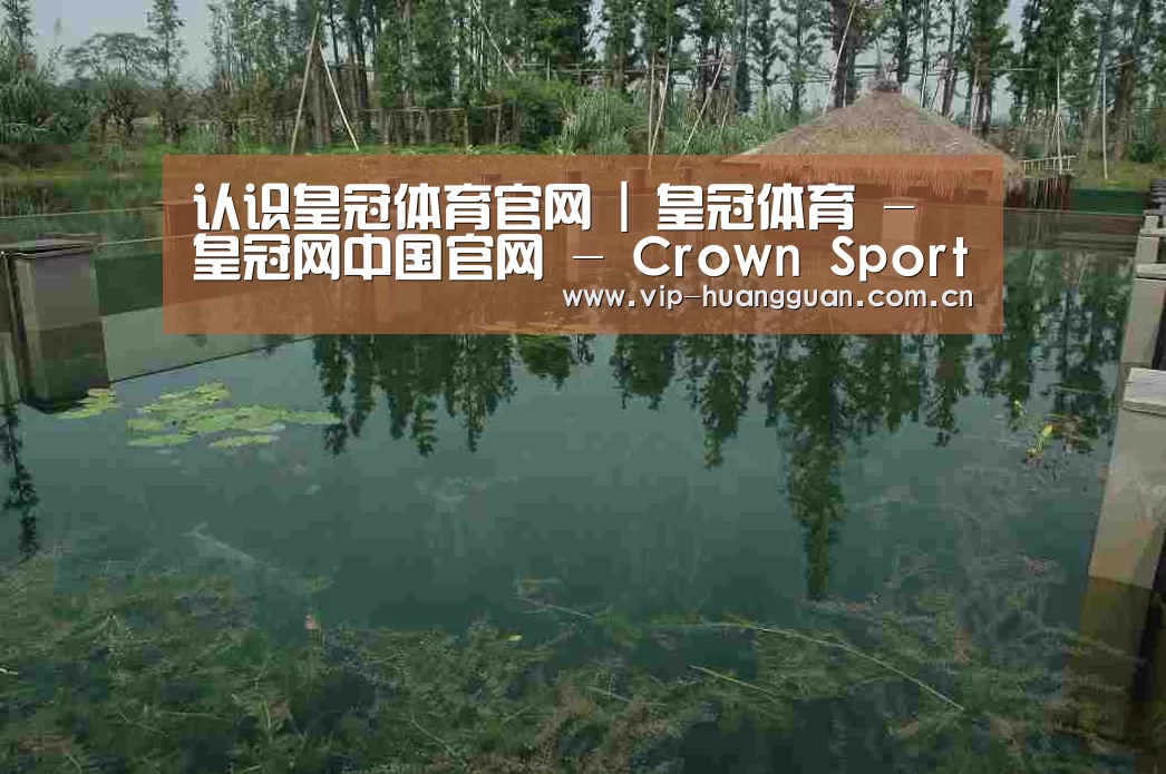 案例展示二
