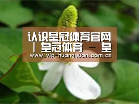 产品名称三