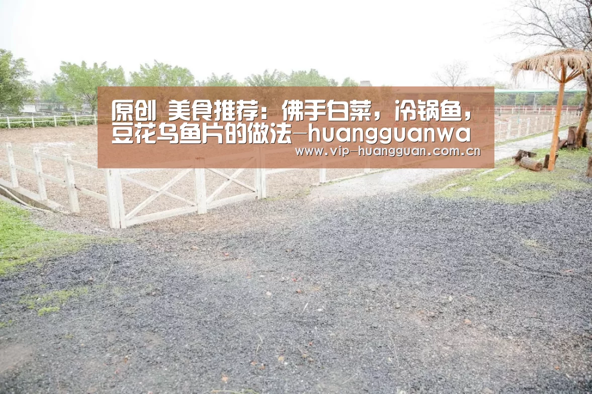 原创 美食推荐：佛手白菜，冷锅鱼，豆花乌鱼片的做法-huangguanwangz