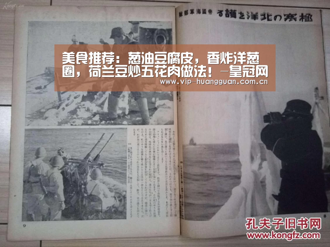 美食推荐:葱油豆腐皮,香炸洋葱圈,荷兰豆炒五花肉做法!-皇冠网(图4) 皇冠网