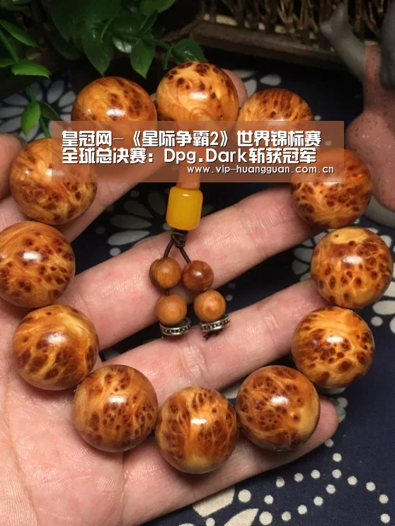 皇冠网-《星际争霸2》世界锦标赛全球总决赛:Dpg.Dark斩获冠军(图1) 皇冠网入口