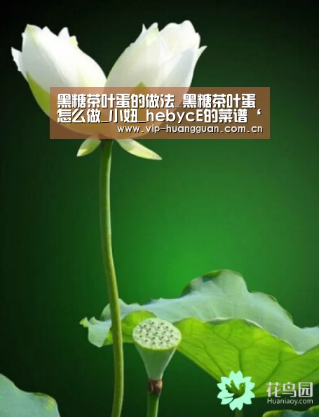 黑糖茶叶蛋的做法_黑糖茶叶蛋怎么做_小妞_hebycE的菜谱‘皇冠网入口’(图2) 皇冠网入口
